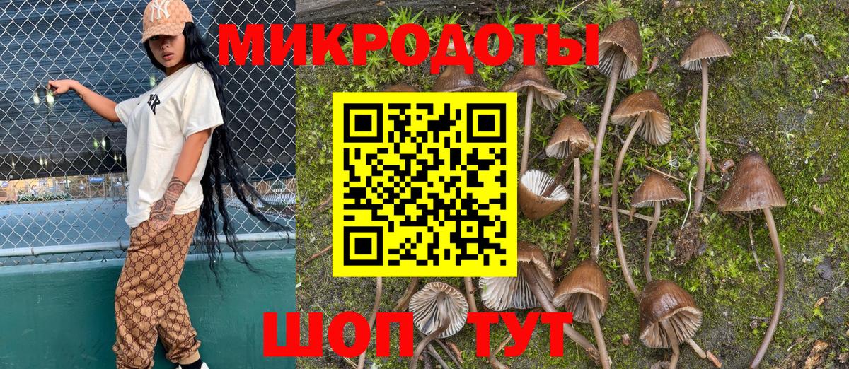 Луховицы  Псилоцибиновые грибы Psilocybine cubensis  Галлюциногенные грибы мицелий  Вход с VPN 