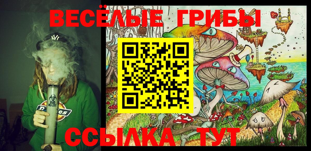 Псилоцибиновые грибы мицелий Луховицы